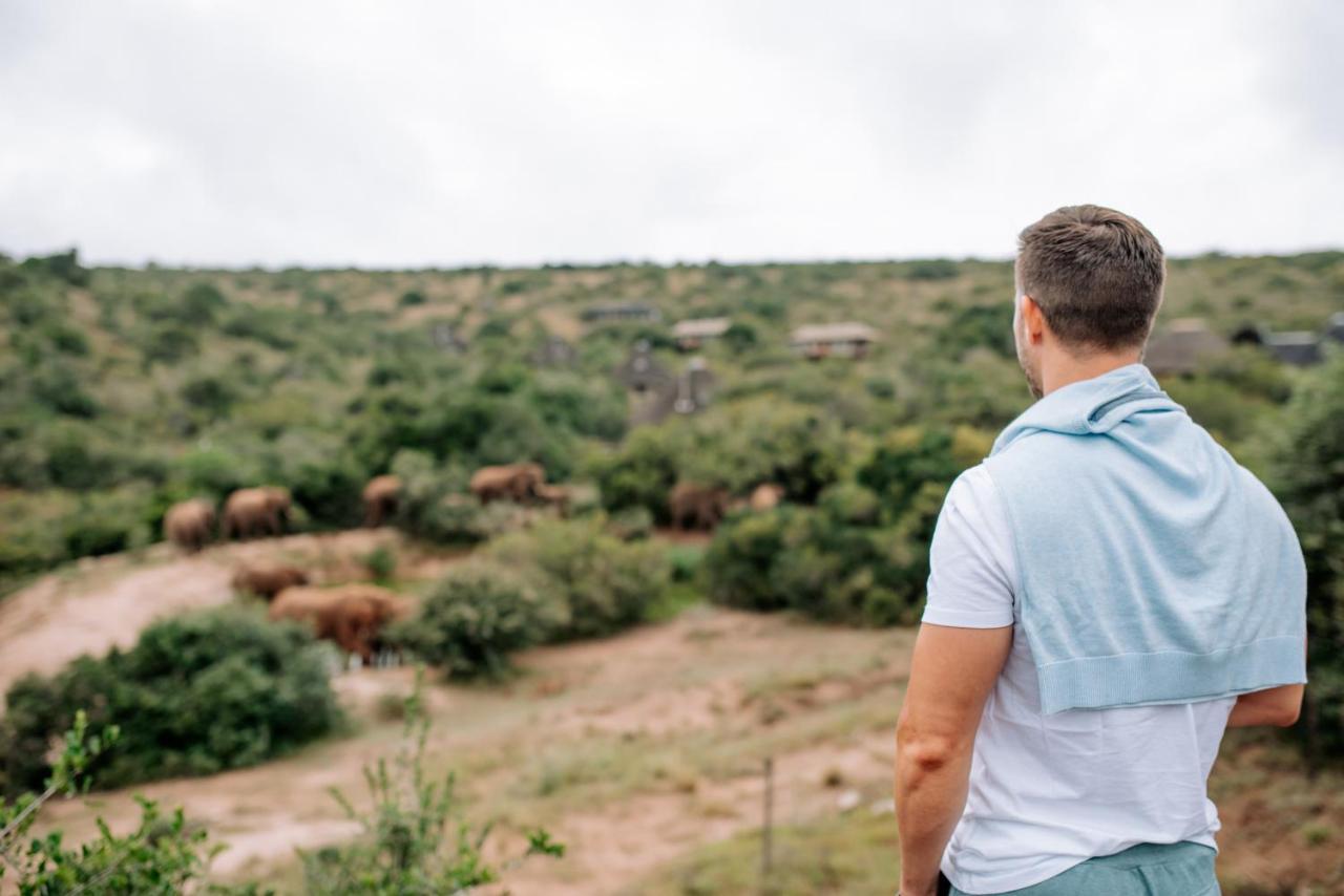 Bukela Game Lodge - Amakhala Game Reserve Zewnętrze zdjęcie