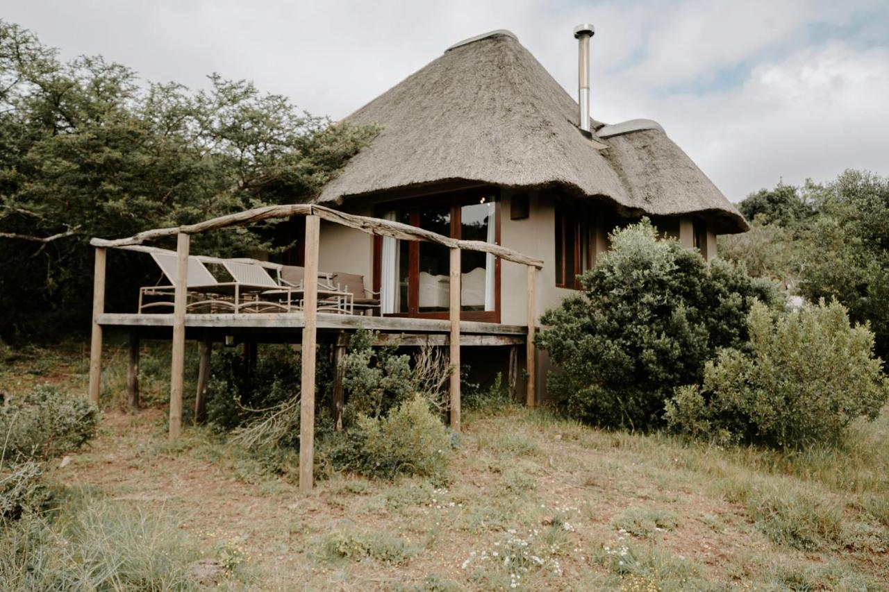Bukela Game Lodge - Amakhala Game Reserve Zewnętrze zdjęcie