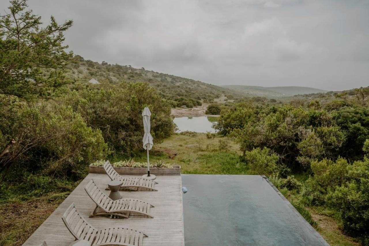 Bukela Game Lodge - Amakhala Game Reserve Zewnętrze zdjęcie