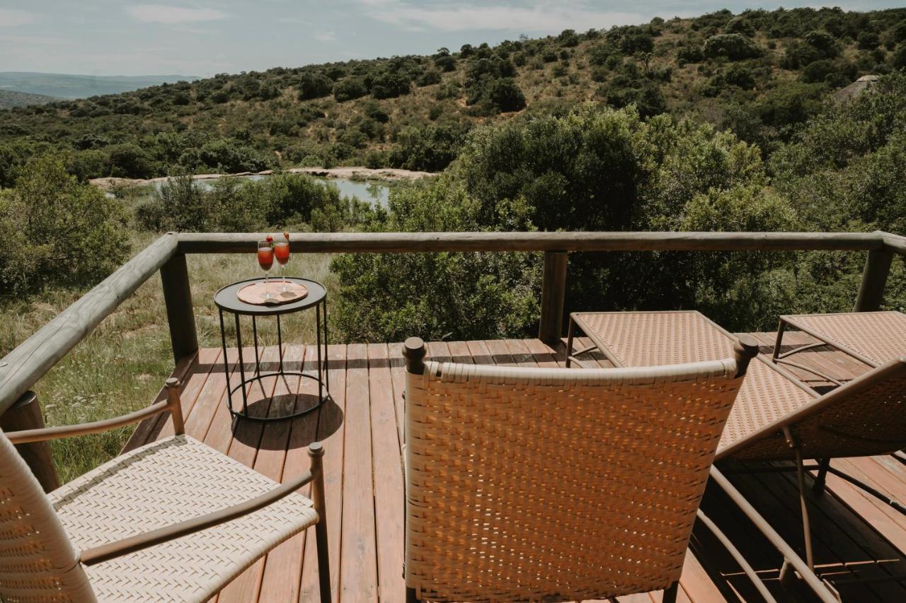 Bukela Game Lodge - Amakhala Game Reserve Zewnętrze zdjęcie