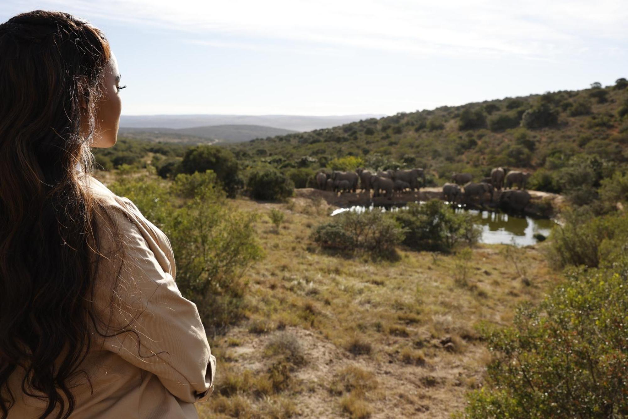 Bukela Game Lodge - Amakhala Game Reserve Zewnętrze zdjęcie