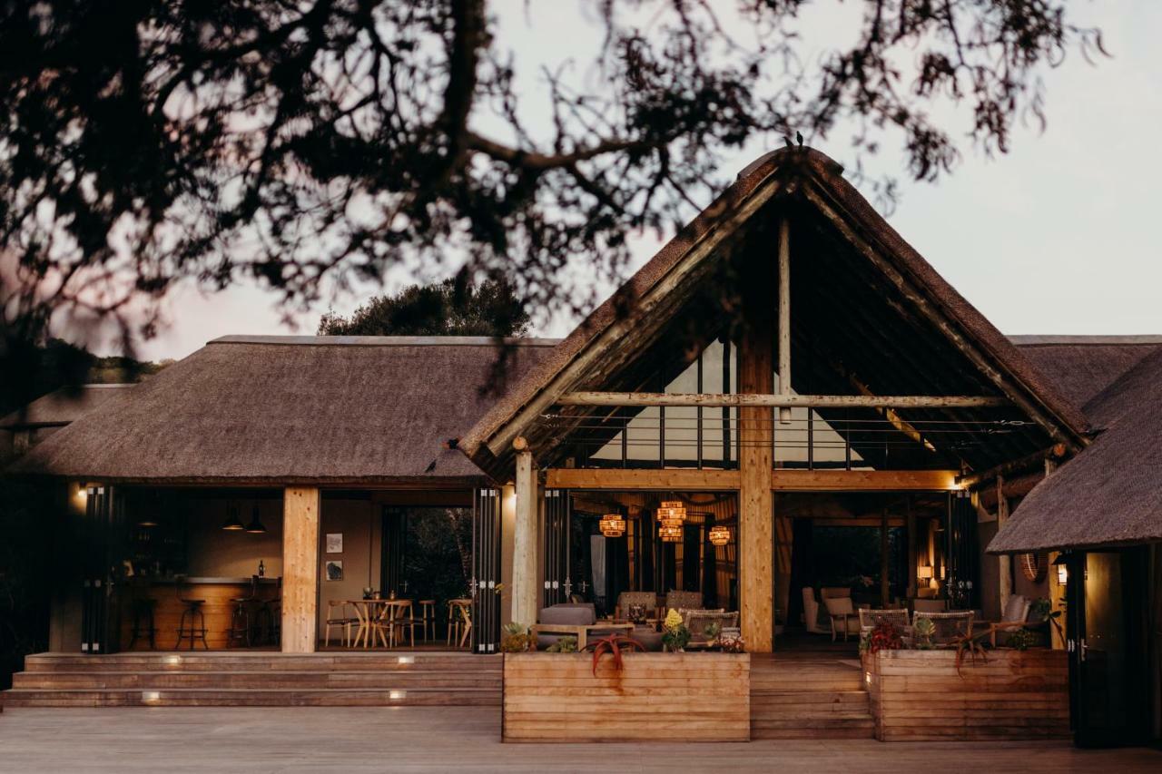 Bukela Game Lodge - Amakhala Game Reserve Zewnętrze zdjęcie